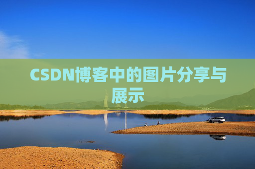 CSDN博客中的图片分享与展示